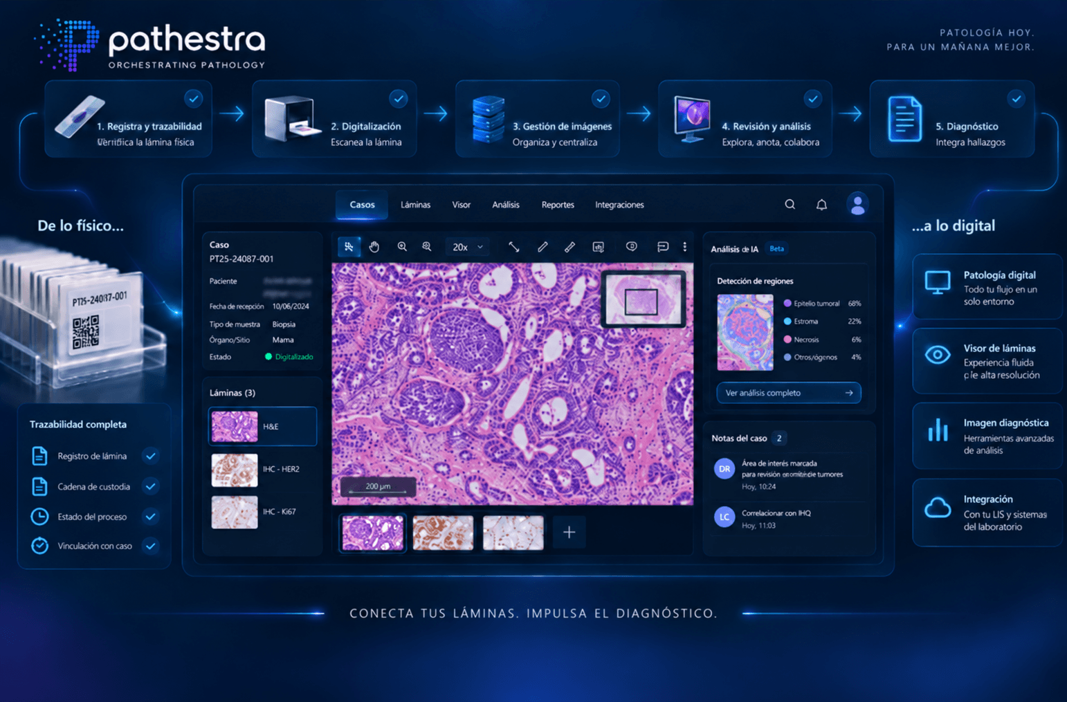 Pathestra digital pathology workflow