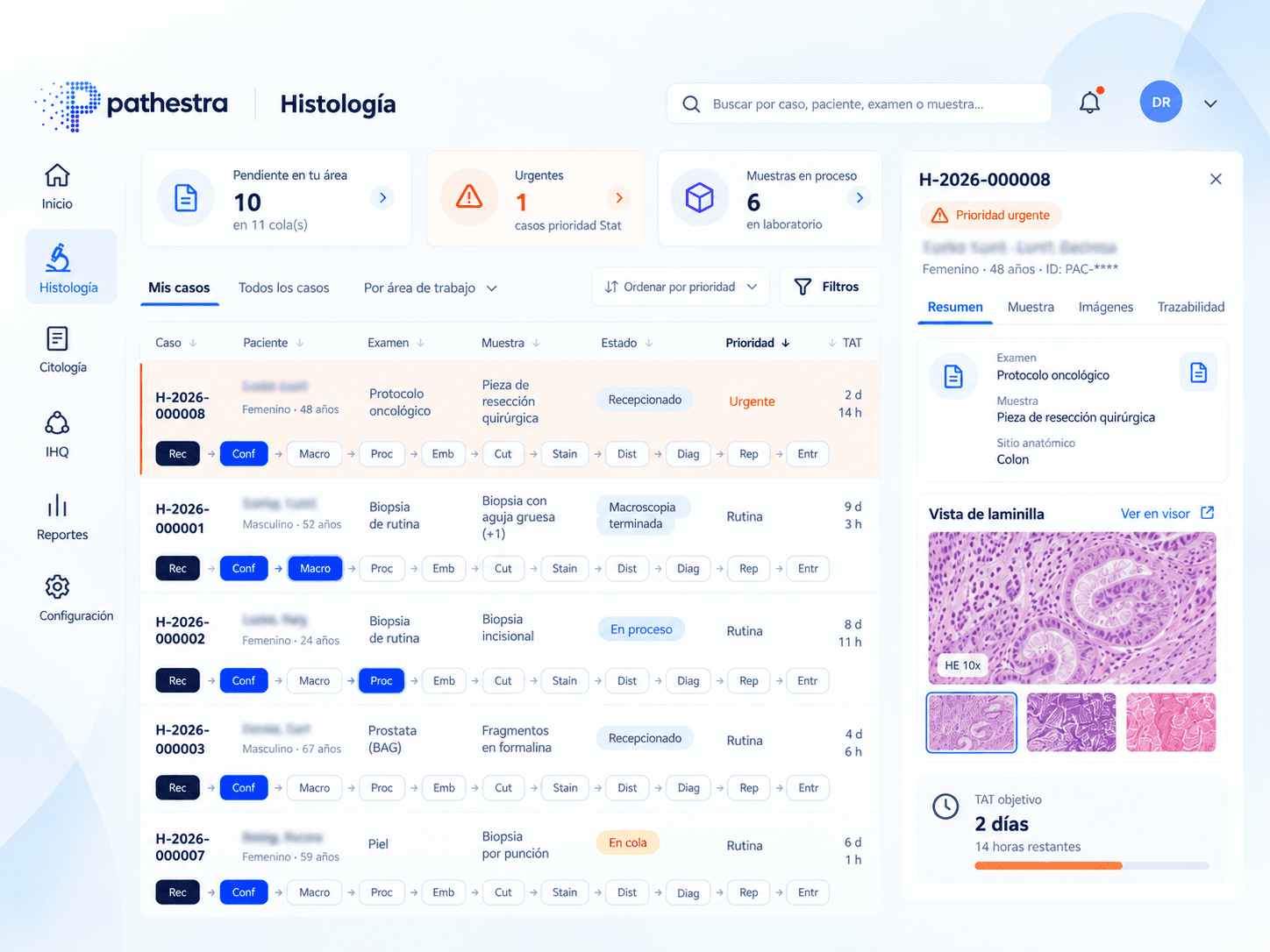 Pathestra histology workflow